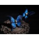 Hoshibako Works Glazed Butterfly Ring and Hair Clip(Limited Pre-Order/Full Payment Without Shipping)
